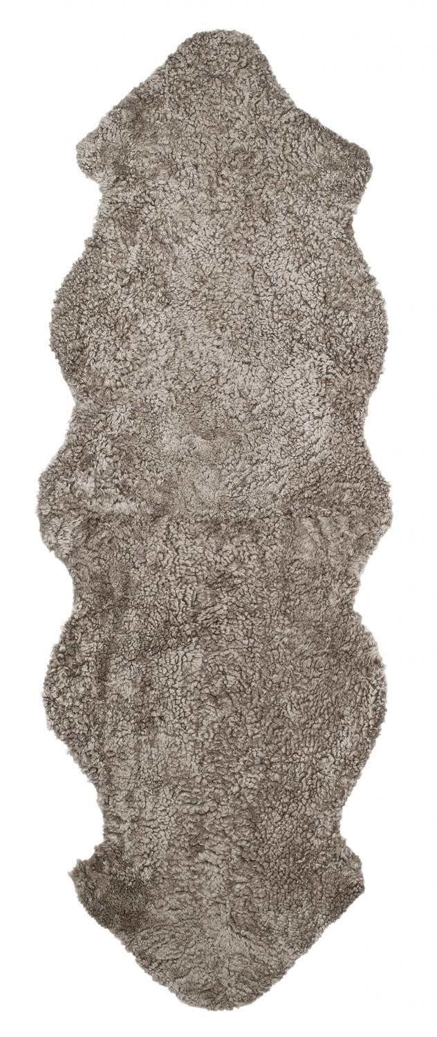 Sahara