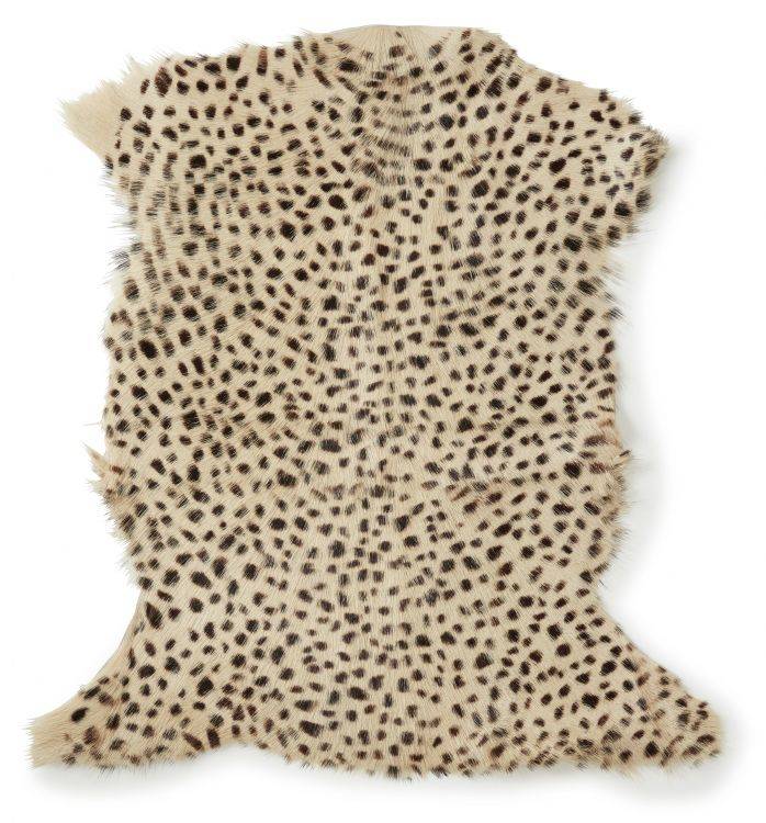 Panter