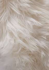 Bild på mattan Molly Hair Rug