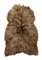 Molly Hair Rug Dyed Brown - Skinn