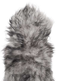 Grey Brisa
