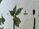 Bild på mattan Domi Flora